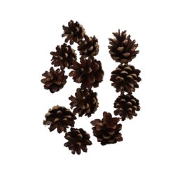 Zapfen KB natur 100gr 8Stück
