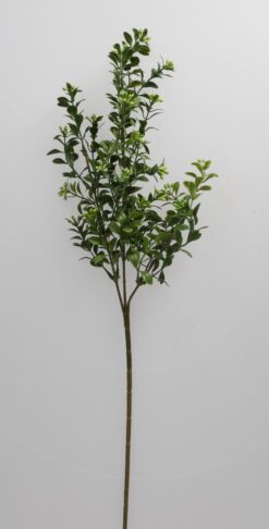 Zweig KB Eucalyptus grün 66cm