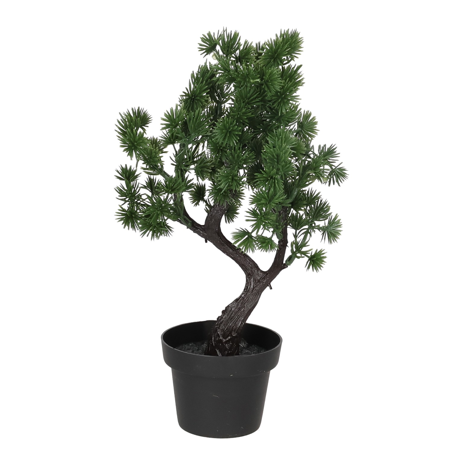 Blume KB Bonsai im Topf 27cm grün