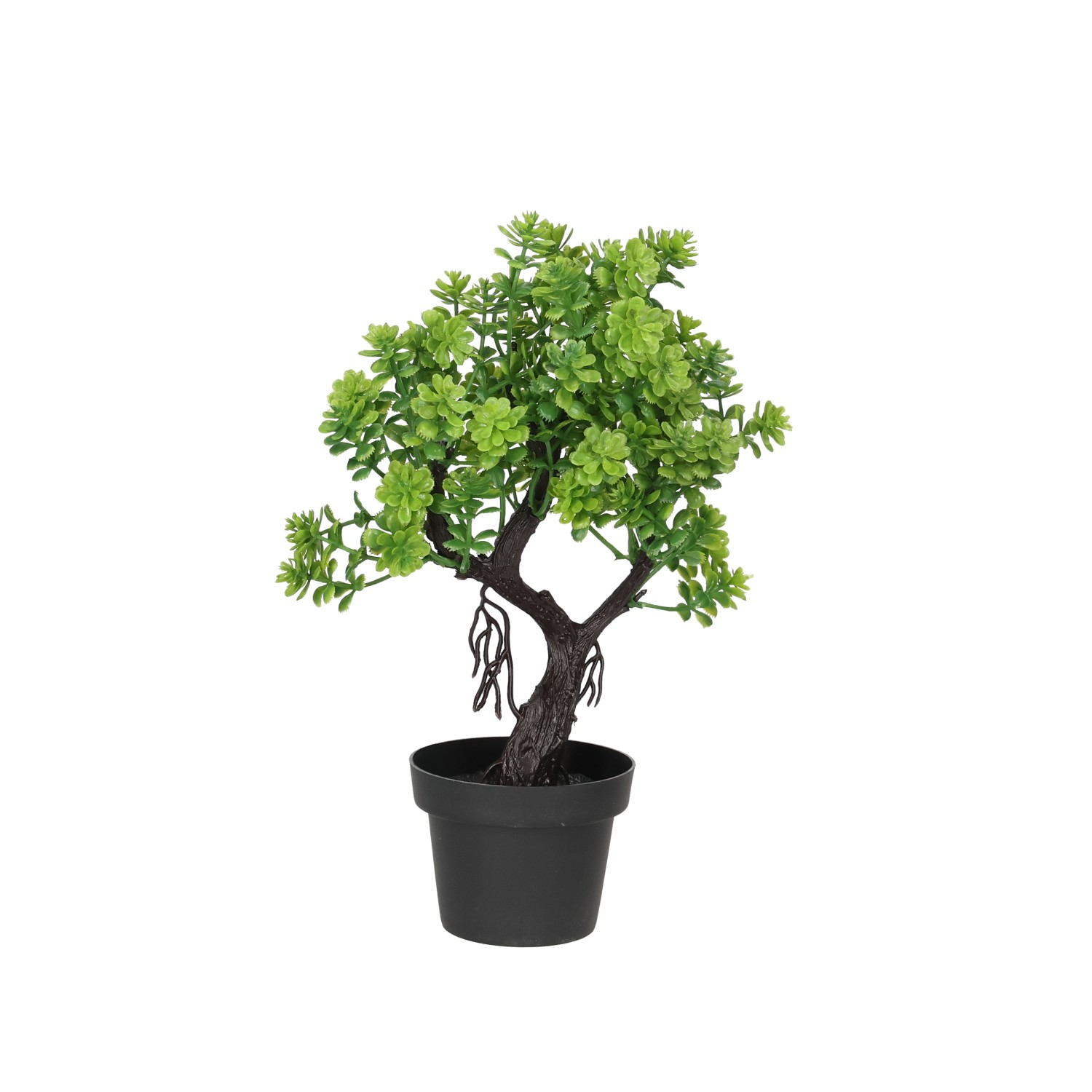 Blume KB Bonsai im Topf 27cm grün 1