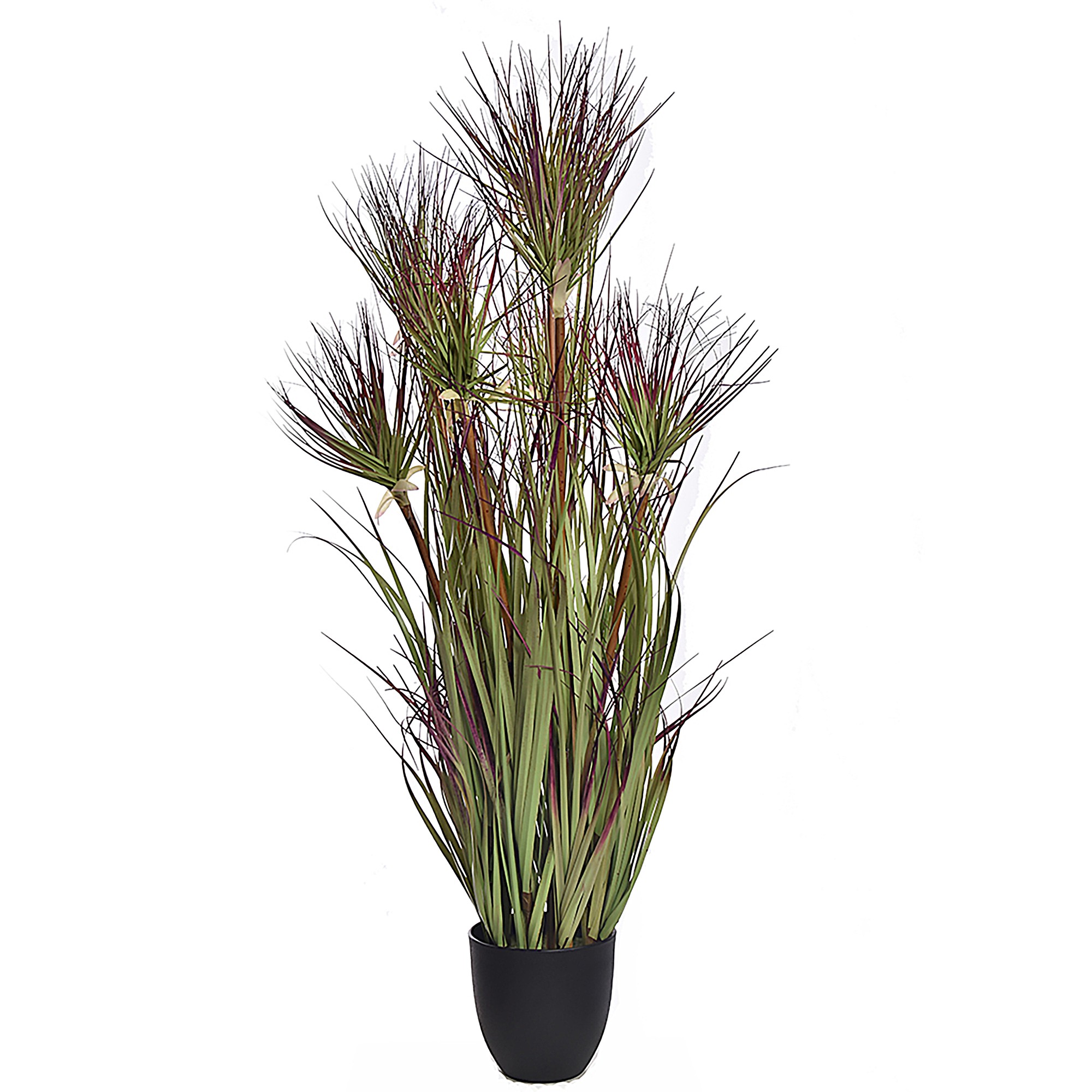 Gras KB Bund im Topf grün 95cm
