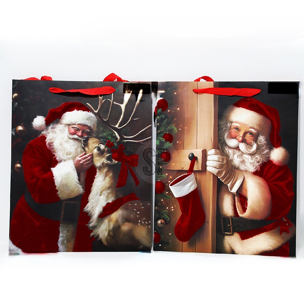 Tüte PP Weihnachten 26x9x32cm 2sort